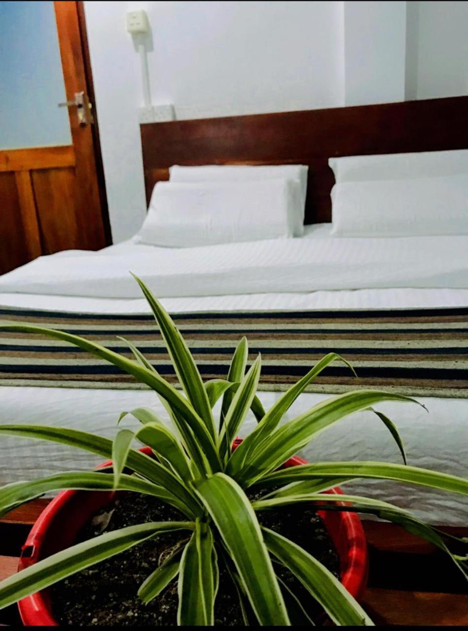 إيلا Minthu Homestay المظهر الخارجي الصورة