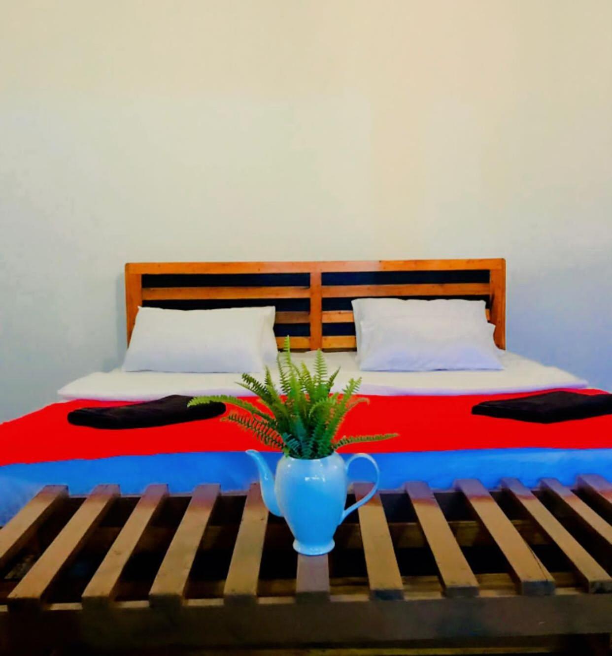 إيلا Minthu Homestay المظهر الخارجي الصورة