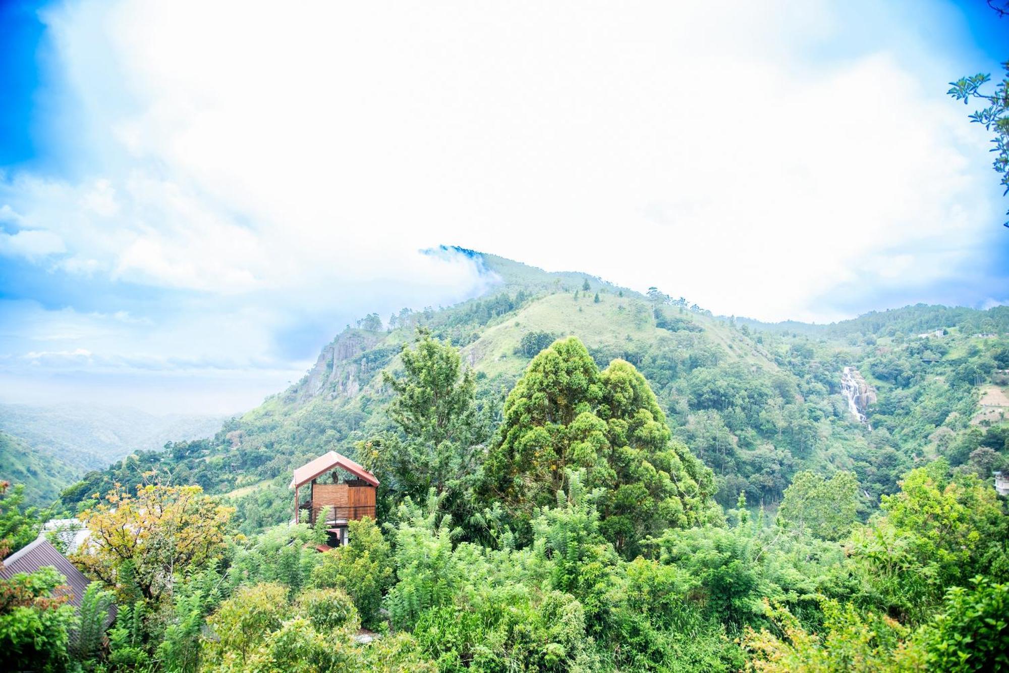 إيلا Minthu Homestay المظهر الخارجي الصورة