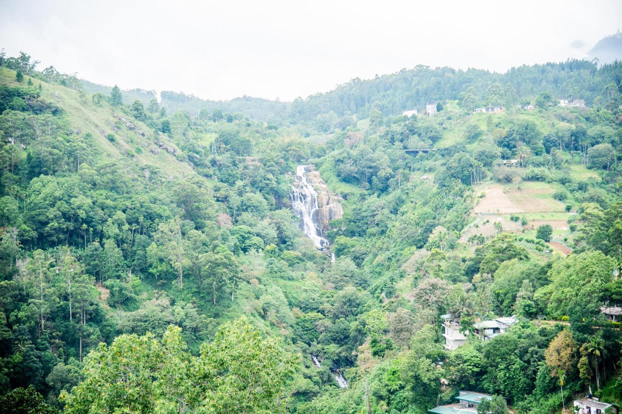 إيلا Minthu Homestay المظهر الخارجي الصورة